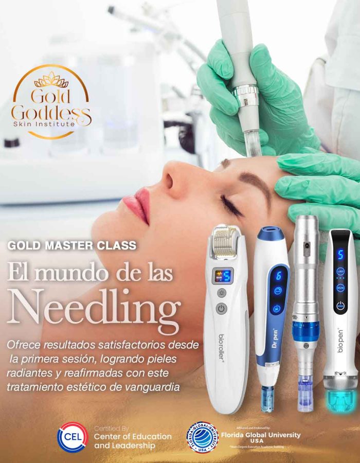 <b>Gold Master Class El mundo de las Needling </b>